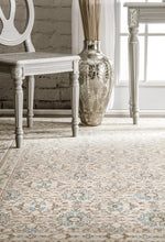 Load image into Gallery viewer, Eternal Whisper Washed Bone Rug