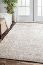 Load image into Gallery viewer, Evoke Shine Silver Transitional Rug