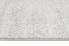 Load image into Gallery viewer, Evoke Shine Silver Transitional Rug