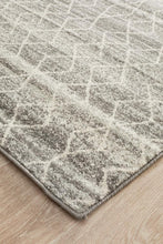 Load image into Gallery viewer, Evoke Remy Silver Transitional Runner Rug