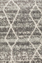 Load image into Gallery viewer, Evoke Remy Silver Transitional Runner Rug