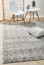 Load image into Gallery viewer, Evoke Remy Silver Transitional Rug