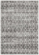 Load image into Gallery viewer, Evoke Remy Silver Transitional Rug