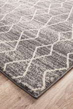 Load image into Gallery viewer, Evoke Remy Silver Transitional Rug