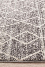Load image into Gallery viewer, Evoke Remy Silver Transitional Rug