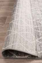 Load image into Gallery viewer, Evoke Remy Silver Transitional Rug