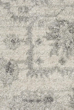 Load image into Gallery viewer, Evoke Winter White Transitional Rug