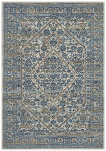 Load image into Gallery viewer, Evoke Duality Silver Transitional Rug