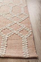 Load image into Gallery viewer, Hudson 805 Nude Rug