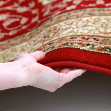 Load image into Gallery viewer, Istanbul Medallion Classic Pattern Runner Rug Red