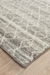 Evoke Remy Silver Transitional Runner Rug