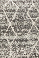 Evoke Remy Silver Transitional Runner Rug