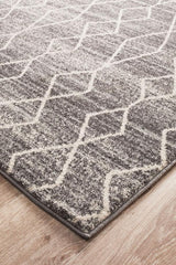 Evoke Remy Silver Transitional Rug