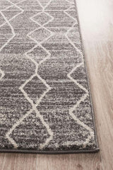 Evoke Remy Silver Transitional Rug
