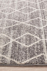 Evoke Remy Silver Transitional Rug